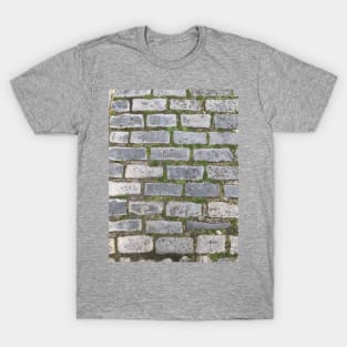 Meeting Street, Charleston, South Carolina T-Shirt